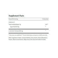 Snap Supplements sugar-free L-Carnitine gummies blueberry bottle showing blueberry flavor energizing option.