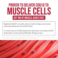SoActive CoQ10 packaging with product details