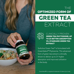 Graphic showing GreenSelect Phytosome enhanced absorption concept
