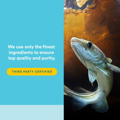 Protective coating on softgels to reduce fish burps