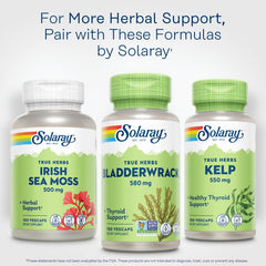100 servings SOLARAY bladderwrack seaweed supplement image