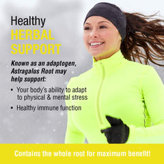 Whole astragalus root