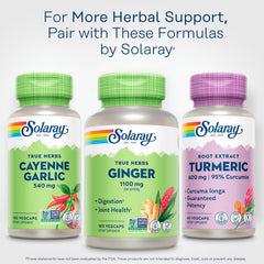 Solar panels powering Solaray facility for sustainability