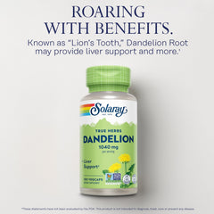 Dandelion root supporting digestion and fat metabolism