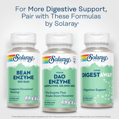 Vegan, gluten-free, lab-verified Solaray DAO Enzyme product information