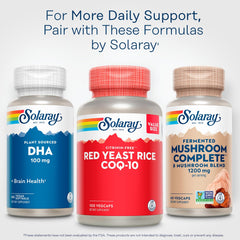 GMP-certified facility lab testing for quality assurance