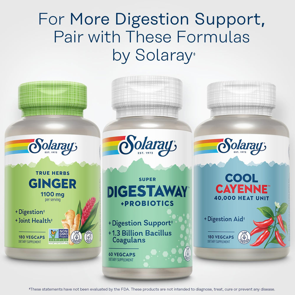 Gut health concept with healthy foods