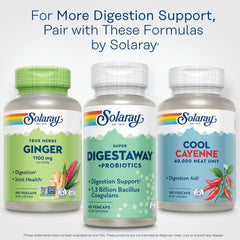 Gut health concept with healthy foods