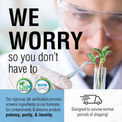 Digestive health concept graphic with gut illustration