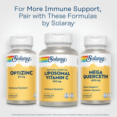 Solar panels powering SOLARAY manufacturing facility