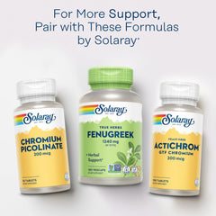 Fenugreek phytochemicals and digestion support illustration