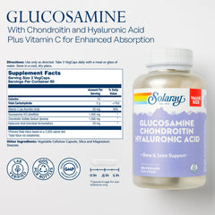 Glucosamine Chondroitin Hyaluronic Acid capsules close-up