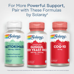 Lifestyle image showing supplements on a desk