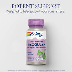 Close-up of gypenosides and phytochemicals illustration