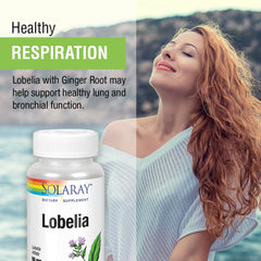 Whole lobelia aerial plant illustration