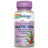 Solaray Mastic Gum Extract bottle front view