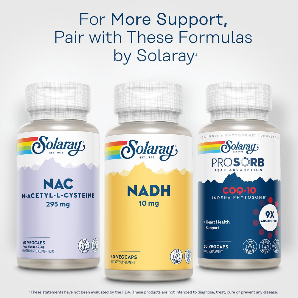 NADH supports cellular energy pathways illustration