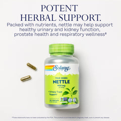 Nettle Leaf capsules supporting respiratory wellness during seasonal changes