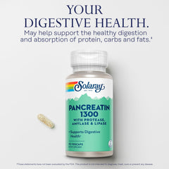 Graphic showing digestion of proteins, carbohydrates and fats