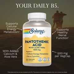 Vegan and gluten-free Pantothenic acid supplement ingredients