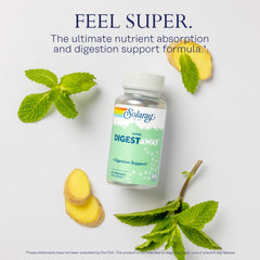 Papain, Peppermint, Ginger, Bromelain and Aloe Vera ingredients