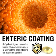 Illustration of enteric coating on softgel capsule