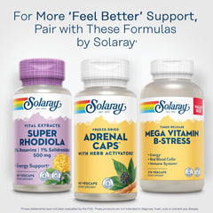 Lab verified and GMP-certified facility icon for SOLARAY Adrenal Caps