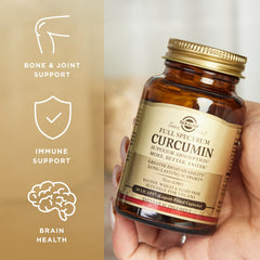 Illustration of brain, joints, and immune health supported by curcumin