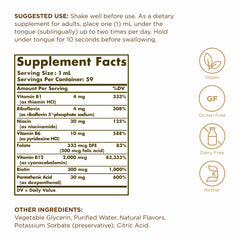 Close-up of the Solgar B-12 liquid bottle with dropper (2 oz)