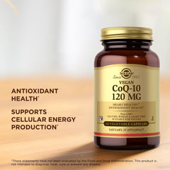 Icons showing non-GMO, kosher, gluten-free and dairy-free attributes.