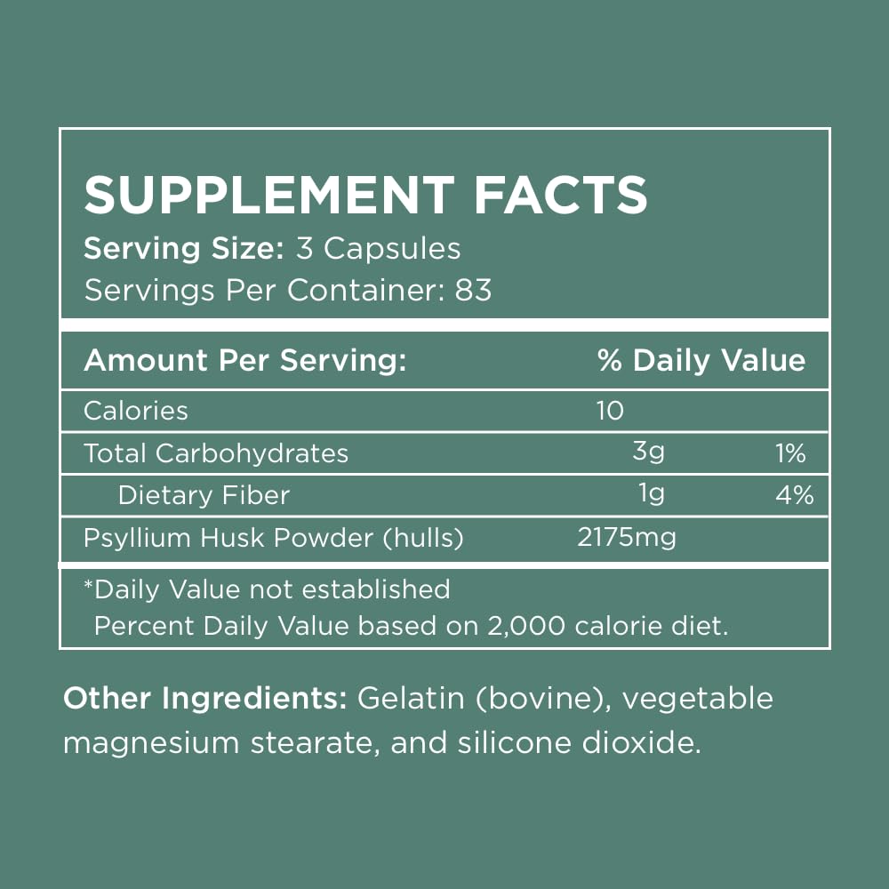 Soluble fiber powder derived from psyllium husk ingredients close-up