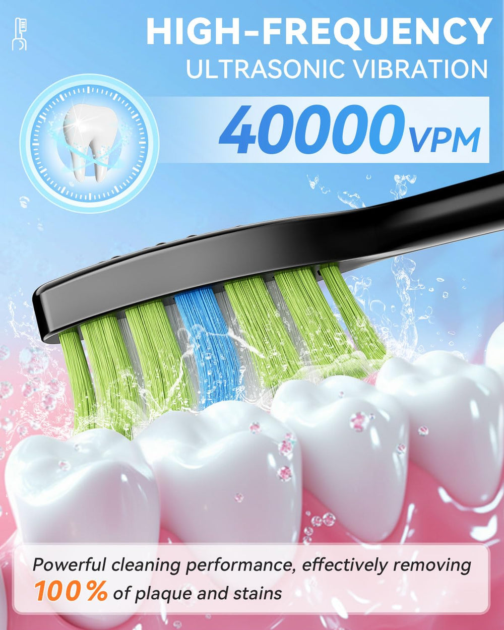 Sonic toothbrush with brush heads attached