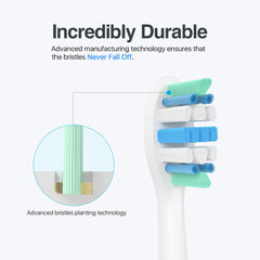 Gentle, end-rounded bristles for gum health