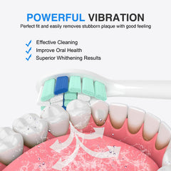 100% satisfaction guarantee with 365-day warranty