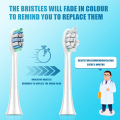 Indicator bristle tip showing replacement timeline