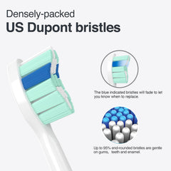 Head bristles densely packed for efficient cleaning