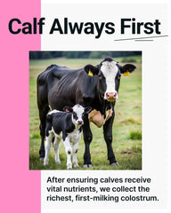 Calf First, Quality Next motto graphic