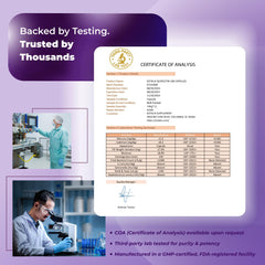 Ingredients chart for Sotalix Quercetin: Quercetin, Bromelain, Zinc, NAC, Vitamin D3, Elderberry