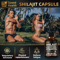 Raw Shilajit resin representing mineral-rich content