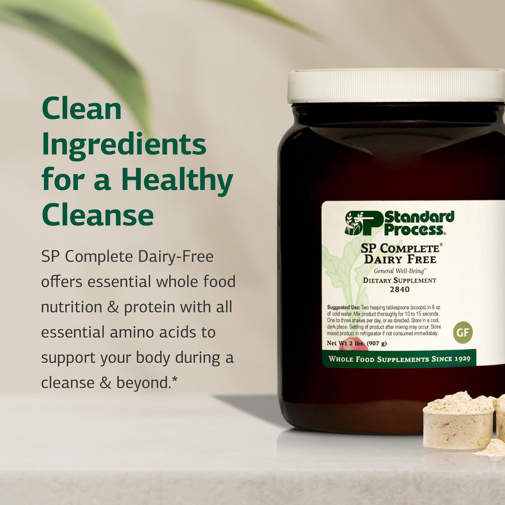 Scoop with dairy-free rice protein powder