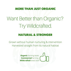 SpeedyVite juniper-berries tea bottle displays aromatic notes for a refreshing daily ritual.