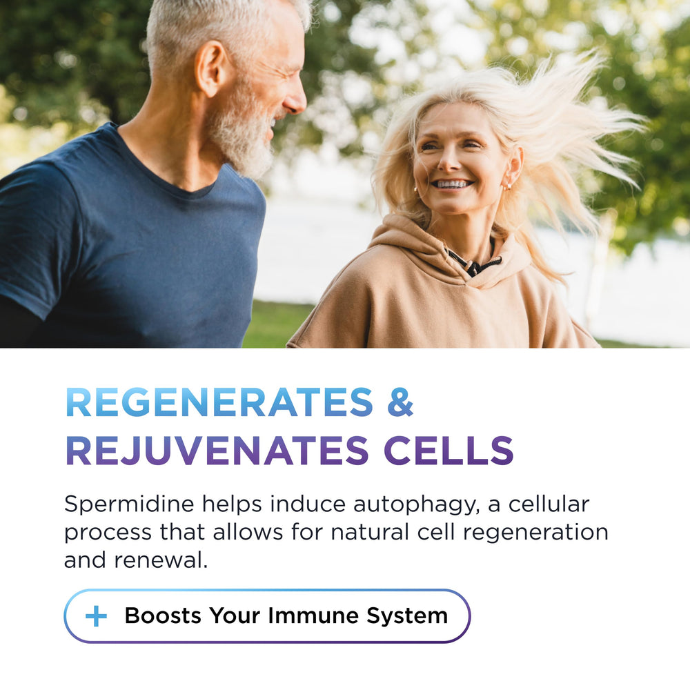 Graphic showing healthy aging benefits from Spermidine