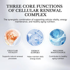 Illustration of Spermidine with Arginine