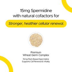 Spermidine cellular vitality concept