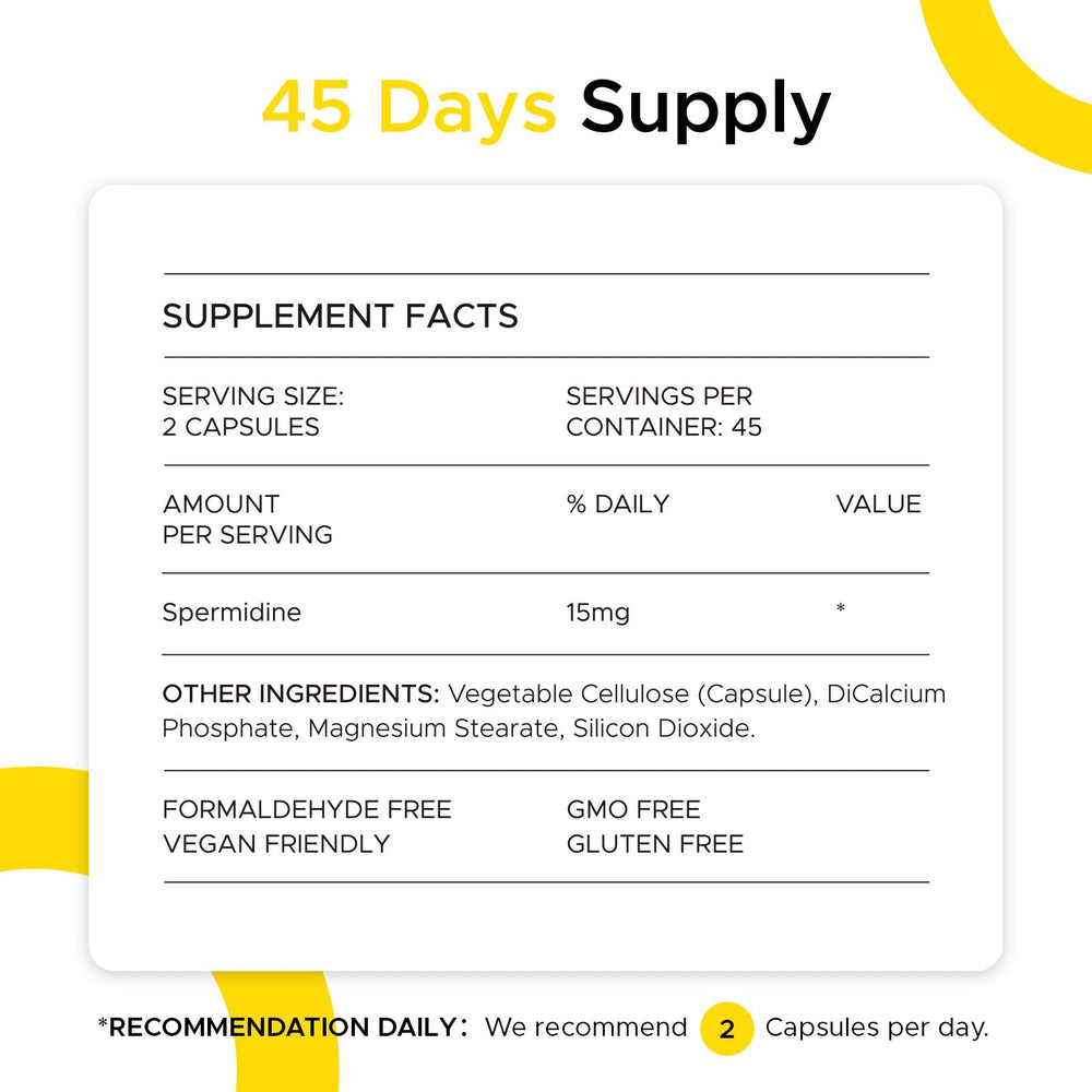 Graphic showing Spermidine for energy support
