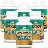 Spermidine supplement 15 mg with 99% purity and high absorption, 360 softgels