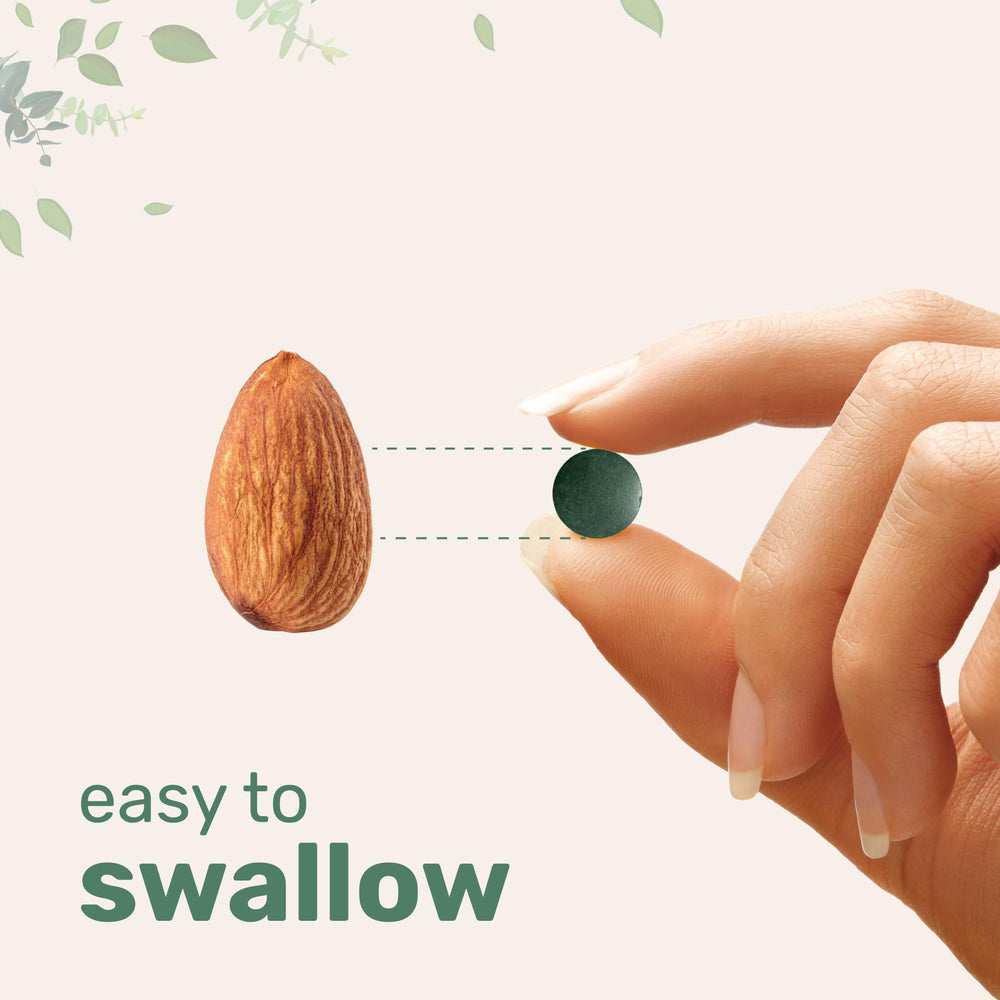 Energy, digestion, and immune support icons