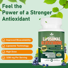 Liposomal encapsulation technology close-up