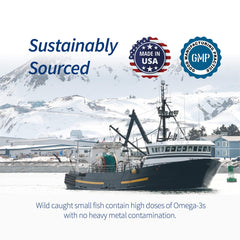 Illustration of sustainably sourced wild fish