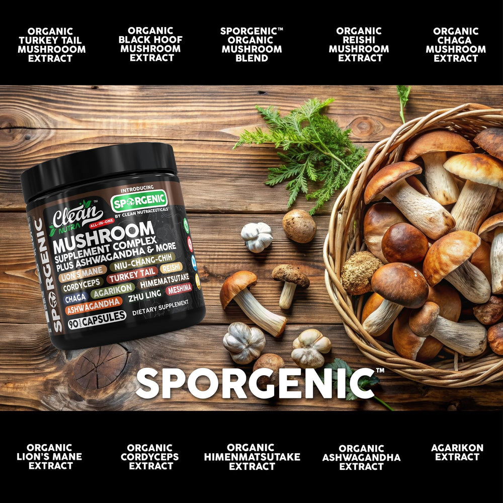Black Hoof mushroom and immune-supporting mushrooms